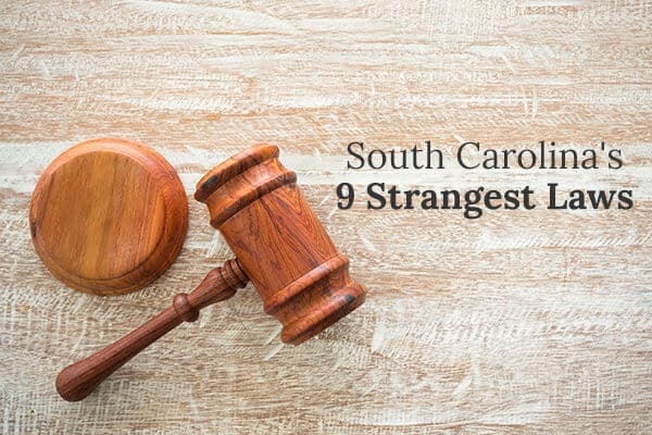 A gavel sits on a wood desk beside the words "South Carolina