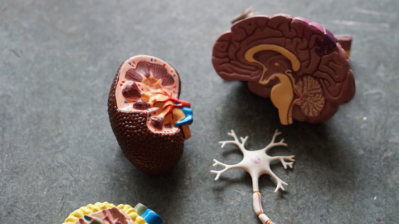 TBI injury brain injury