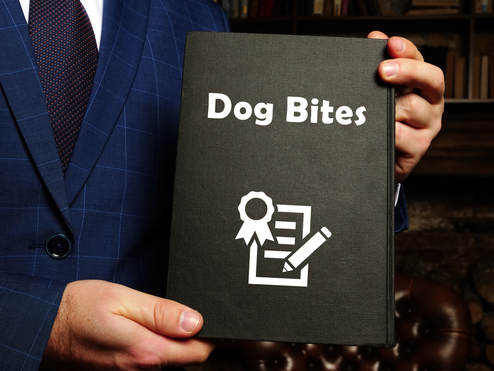 Attorney holding a folder labeled “Dog Bites,” symbolizing legal action after an animal attack.