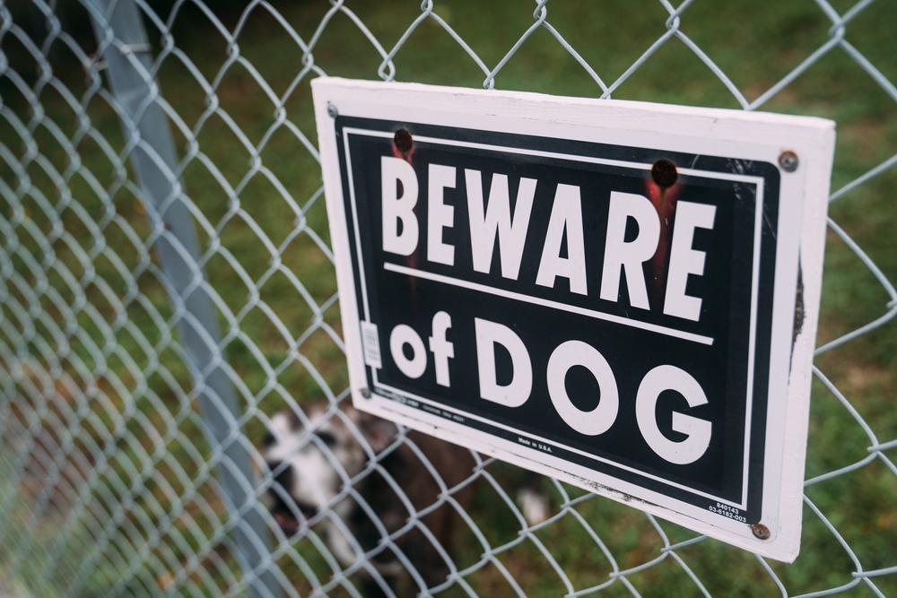 Warning sign reading “Beware of Dog” posted on a chain-link fence, illustrating potential liability in dog bite cases.