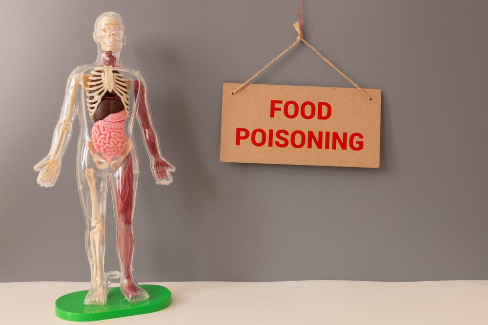 Anatomical model with a sign reading Food Poisoning, representing the effects of foodborne illness.