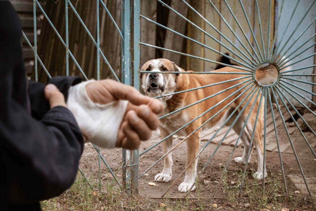 A person with a bandaged hand facing an aggressive dog behind a metal gate, highlighting injuries managed by Oklahoma City Dog Bite Attorneys.